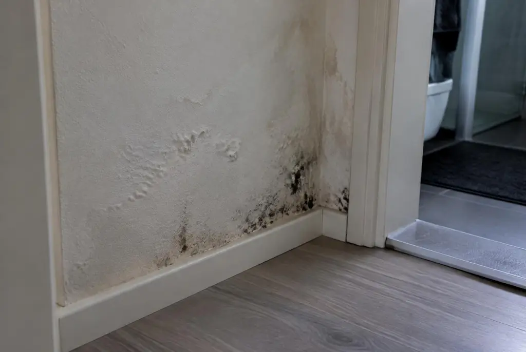 Lekdetectie Soesterberg – vochtplek met schimmel op een muur